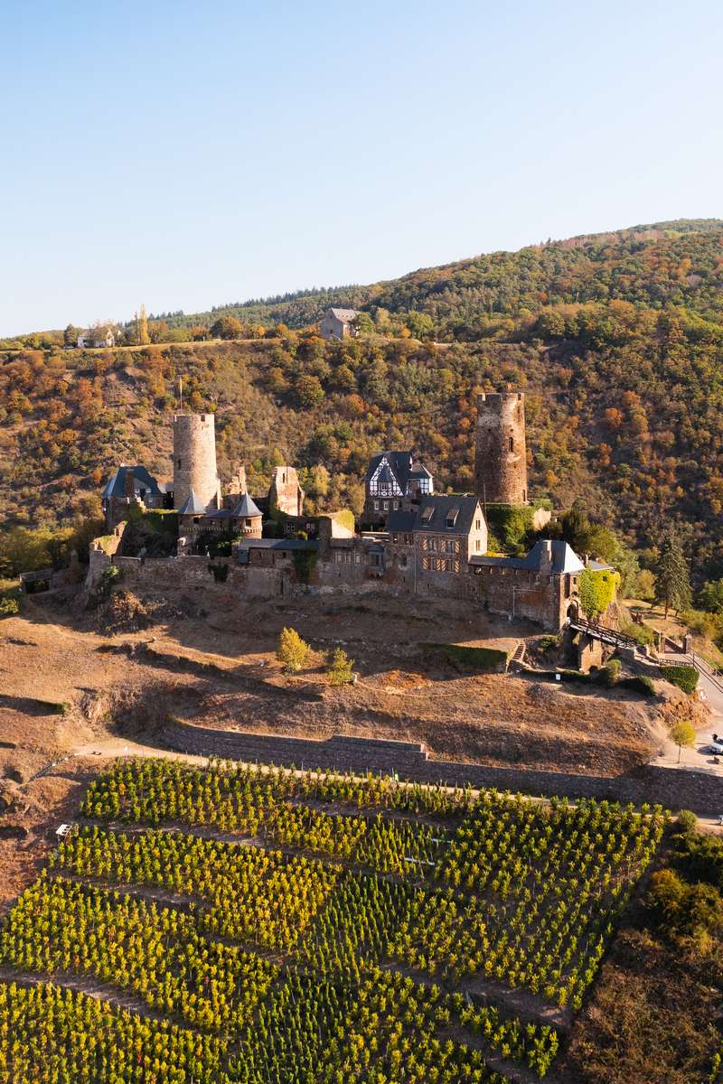 drohnenaufnahme burg weinberg in abendsonne