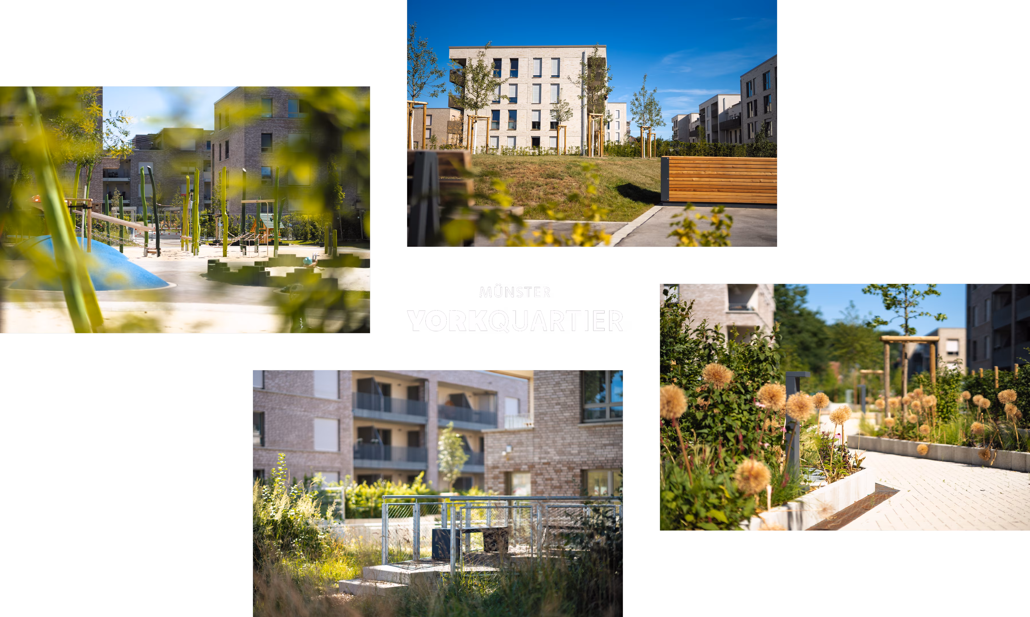 grafik mit schriftzug und vier rundum angeordneten, professionellen referenzbildern des york-quartiers in münster