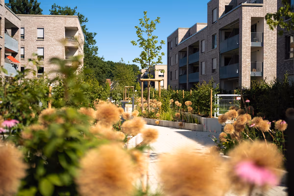 teleaufnahme eines fußwegs mit mehreren gepflegten gärten in einem modernen neubaugebiet (york-quartier) auf einem ehemaligen kasernengelände in münster für immobilienmarketing